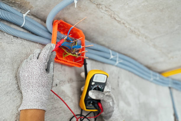 Best Electric Panel Repair  in Edgewood, TX